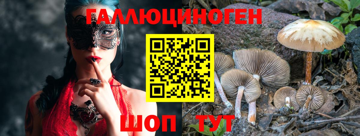Галлюциногенные грибы ЛСД Верхняя Салда