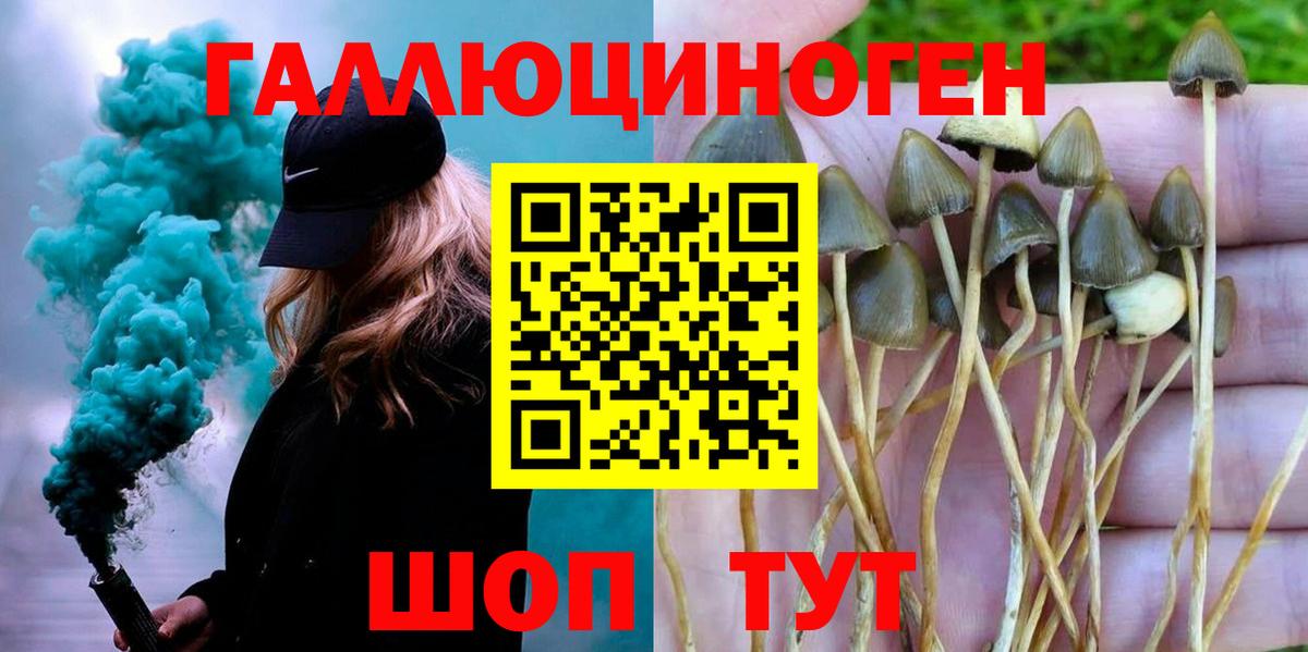 Верхняя Салда  Галлюциногенные грибы Psilocybine cubensis  Вход с VPN 